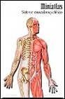 Sistema musculoesquelético