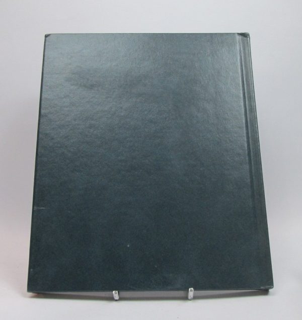 Los pioneros del aire