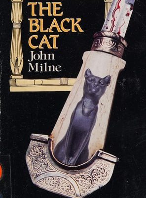 Black cat (guided reader series)