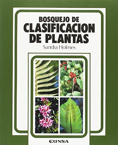 Bosquejo de clasificación de plantas
