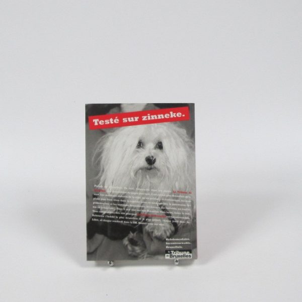 Région de bruxelles