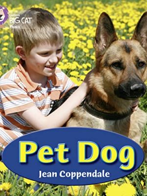 Pet dog (collins big cat phonics)