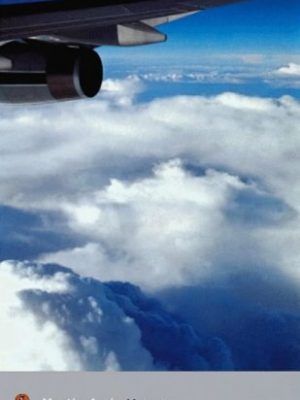 Money (penguin modern classics)