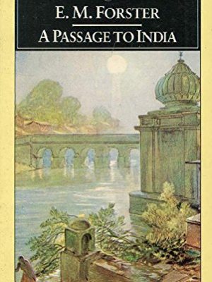 A passage to india (macmillan elt & young reader's simplified edition)