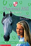 Team spirit (chestnut hill) (chestnut hill)