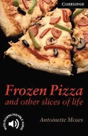 Frozen pizza and other slices of life level 6