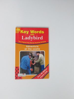 Adventure at the castle