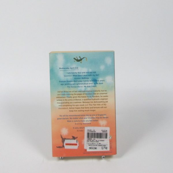 Adrian mole: the wilderness years