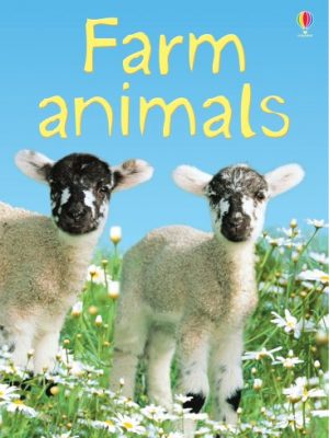 Farm animals (beginners)