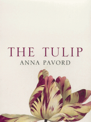 The tulip