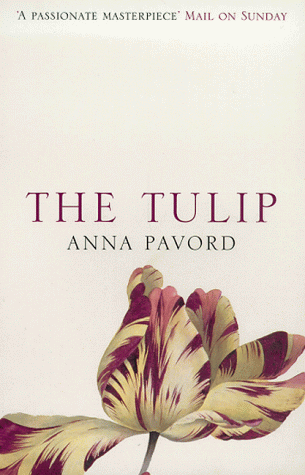 The tulip