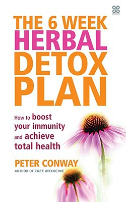 The 6 week herbal detox plan: how to boost your immunity and achieve total health