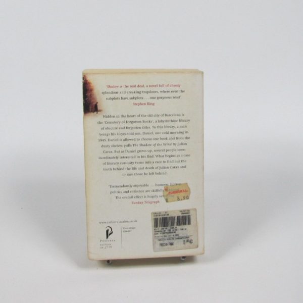 The shadow of the wind