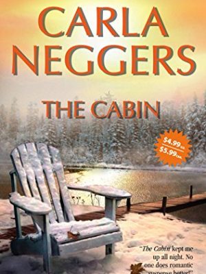 The cabin (carriage house, 2)