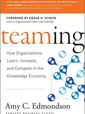 Teaming: how organizations learn, innovate, and compete in the knowledge economy