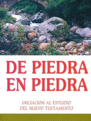 De piedra en piedra / stepping stones (spanish edition)