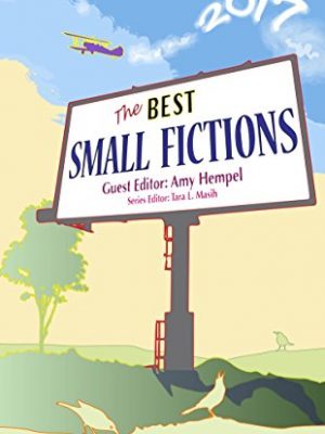 The best small fictions 2017