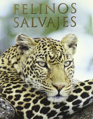 Felinos salvajes-parragon