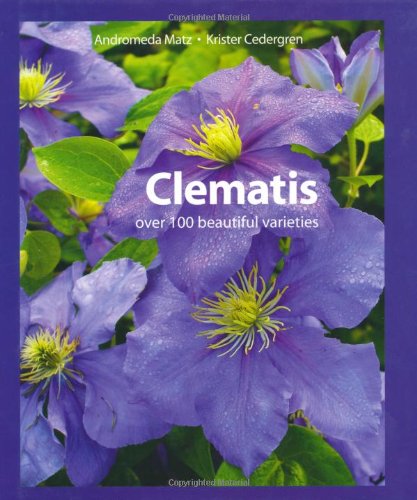 Clematis