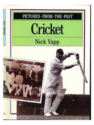 Version 1.0.0 Cricket