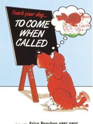 Teach your dog to come when called