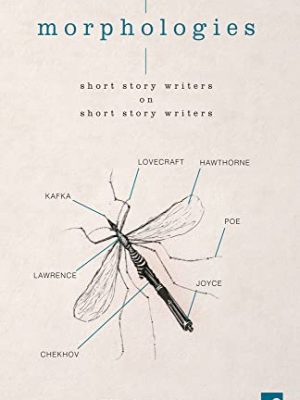 9781905583485_morphologies-short-story-writers-on-short-story-writers_front-1.jpg Morphologies: short story writers on short story writers