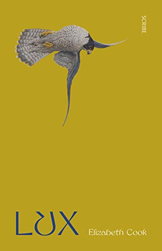 9781947534865_lux_front-1.jpg Lux