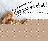 Tu peux pas comprendre, t'es pas un chat ! (larousse attitude - animaux) (french edition)
