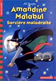 Amandine malabul : sorcière maladroite (folio cadet classique 3)