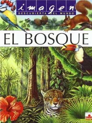 9782215081425_el-bosque-the-forest-imagen-descubierta-del-mundo-spanish-edition_front-3.jpg El bosque / the forest (imagen descubierta del mundo) (spanish edition)