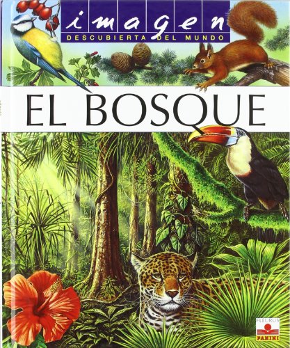 9782215081425_el-bosque-the-forest-imagen-descubierta-del-mundo-spanish-edition_front-3.jpg El bosque / the forest (imagen descubierta del mundo) (spanish edition)