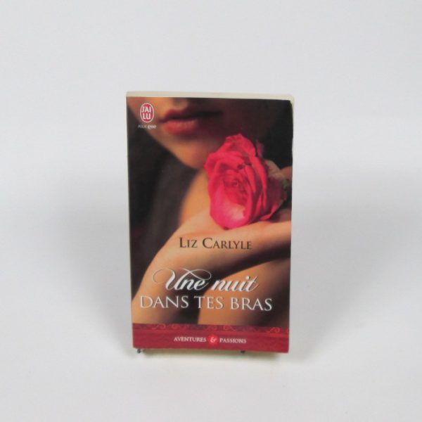 Une nuit dans tes bras