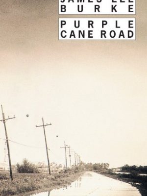 9782743616526_purple-cane-road_front-1.jpg Purple cane road