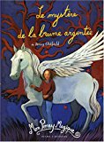 Mon poney magique t2 le mystere de la brume argentee (jeunesse)