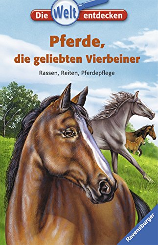 Pferde, die geliebten vierbeiner