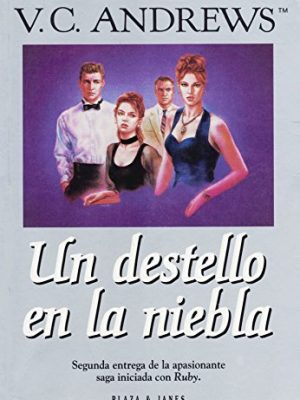 Un destello en la niebla