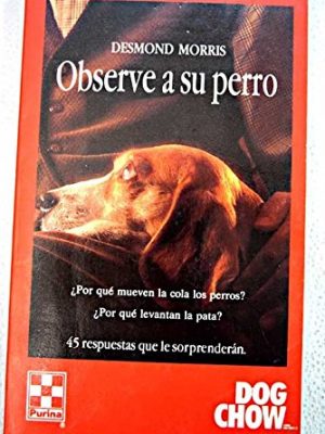 Observe a su perro