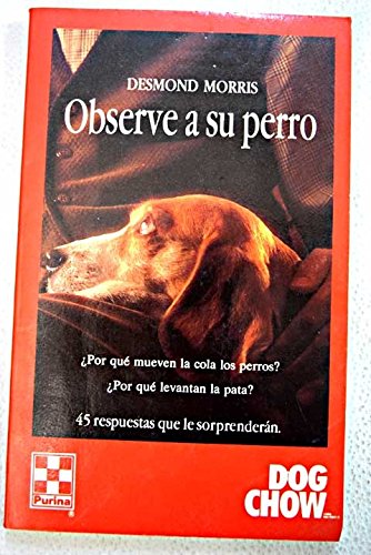 Observe a su perro