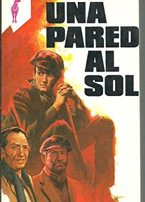 Una pared al sol (reno) (spanish edition)