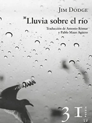 Lluvia sobre el rio