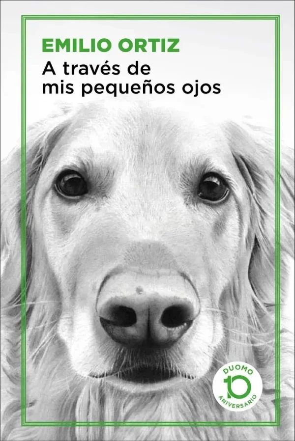 9788417761042_a-traves-de-mis-pequenos-ojos_front-1.webp A través de mis pequeños ojos