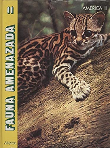 9788420734781_america-iii_front-1.jpg America iii