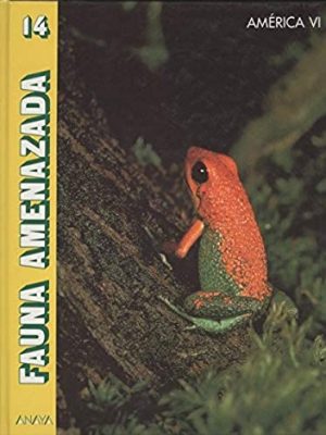 9788420734811_america-vi_front-1.jpg America vi