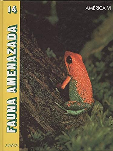 9788420734811_america-vi_front-1.jpg America vi