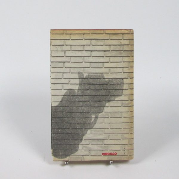 Si hubiera un mañana