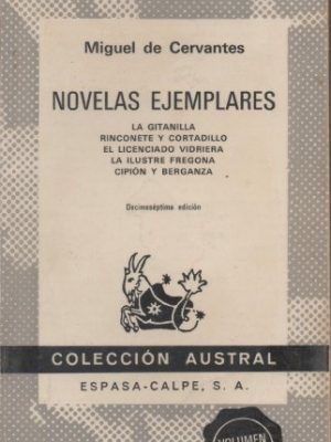 Novelas ejemplares 1