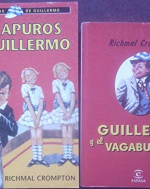 Guillermo y el vagabundo