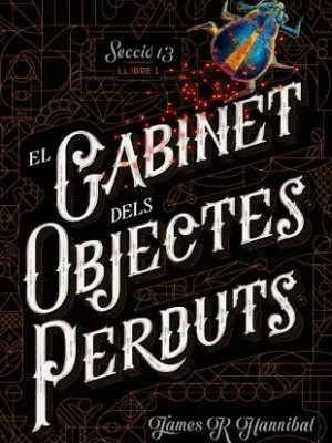 El gabinet dels objectes perduts