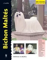 Bichon maltés