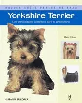 Yorkshire terrier